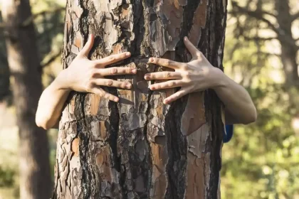 Foto de um tronco de árvores sendo abraçado por uma criança, a crianças está atrás, só aparecem as suas mãos em cima do tronco.