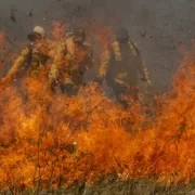 Foto de bombeiros no meio do fogo das queimadas do Pantanal em 2024.