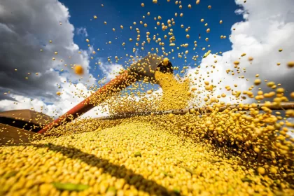 Foto de uma colheita de soja, um importante insumo da agropecuária