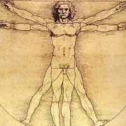 Reprodução do homem vitruviano, de Leonardo da Vinci, que representa a sociedade humanista