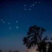 Foto de um Céu noturno estrelado. estrelas são redes no céu