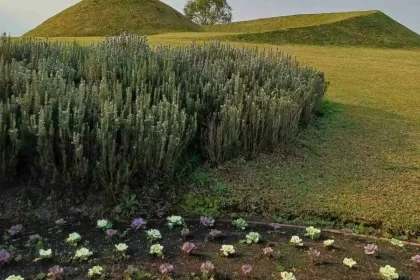 Foto de uma paisagem do parque Mátria, em São Francisco de Paula. A natureza é um remédio.