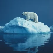 Imagem noturna, um urso sobre um pedaço de geleira. Efeitos dos sistemas não lineares.