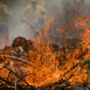 Foto de queimadas no interior do Brasil, é a emergência climática