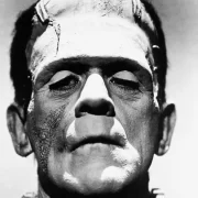 Foto do personagem Frankenstein, que o autor compara com a esquerda no brasil