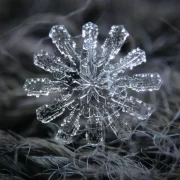 Foto de um cristal de gelo, esses cristais têm a forma de mandalas