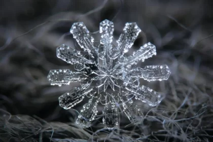 Foto de um cristal de gelo, esses cristais têm a forma de mandalas