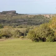 Foto do bioma pampa, no rio grande do sul