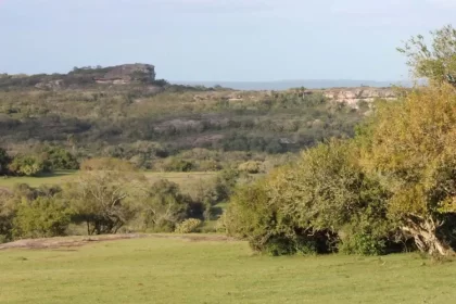 Foto do bioma pampa, no rio grande do sul