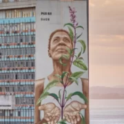 Mural Veracidade, pintado num prédio público de porto alegre