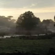 Paisagem com campos e árvores ao fundo e o sol por trás. Foto da capa do livro Gavetas de Guardados