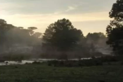 Paisagem com campos e árvores ao fundo e o sol por trás. Foto da capa do livro Gavetas de Guardados