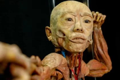 foto de um corpo humano plastinado da exposição Human Bodies