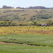 foto de um campo do bioma pampa, que pode ser prejudicado com a simplificação do licenciamento ambiental