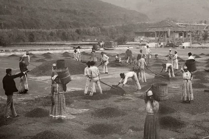 Foto de escravos numa fazenda de café no século XIX. Autor fala da sociofobia