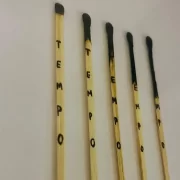 SEQUÊNCIA DE PALITOS DE FÓSFORO QUEIMADOS. AUTORA FALA DA PLAYLIST DE VELÓRIO