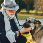 cão