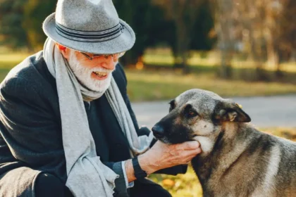 cão