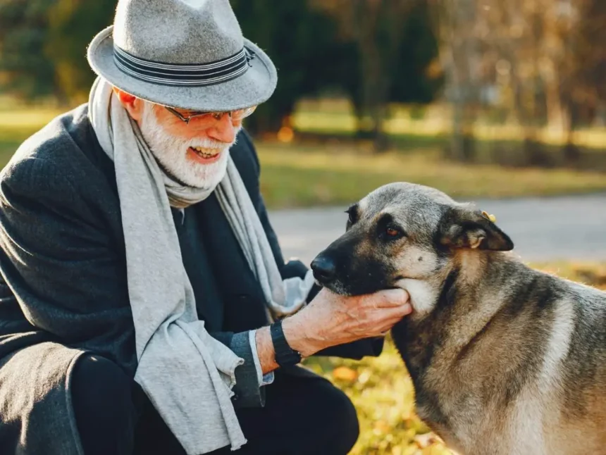 cão