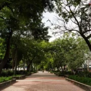 caminhada