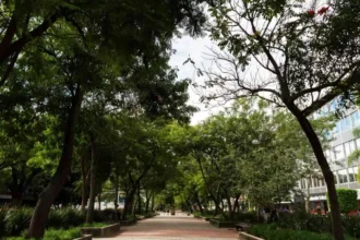 caminhada