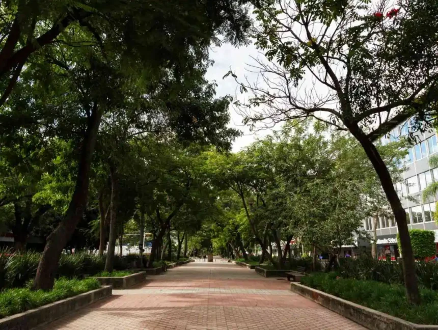 caminhada