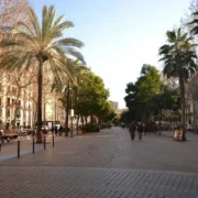 raval
