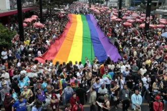 gay de direita