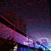 LED