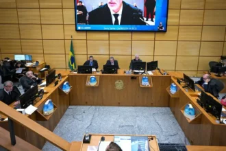 terrorismo